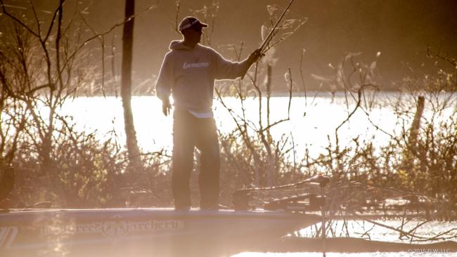 Andy Morgan flipping in heavy cover on day three of the Walmart FLW Tour on Beaver Lake.